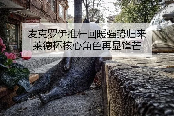 mai-ke-luo-yi-tui-gan-hui-nuan-qiang-shi-gui-lai-lai-de-bei-he-xin-jue-se-zai-xian-feng-mang-3-436.jpg
