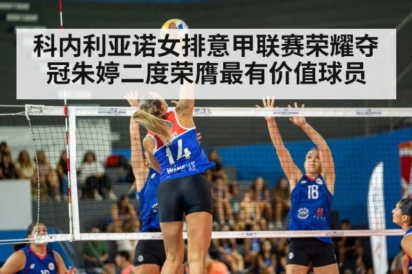 volleyball match action